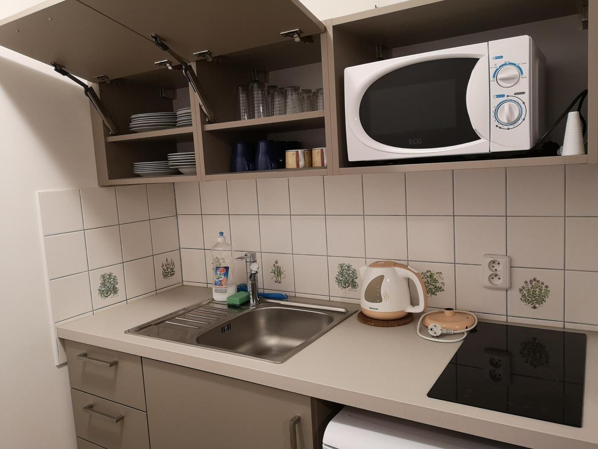 Penzion U Nasich Mladé Buky Habitación foto